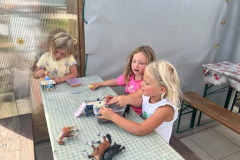 IMG-20260909-WA0016