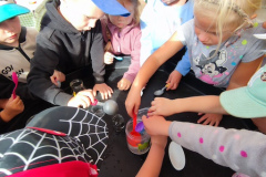 IMG_20260909_094253