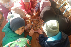 DSCN1928