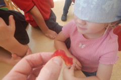 DSCN4985