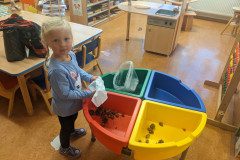 PXL_20241003_053725855
