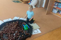 PXL_20241003_055705361