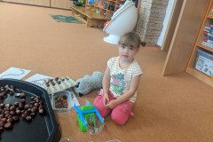 PXL_20241003_060100687