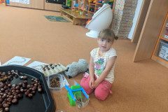 PXL_20241003_060101735