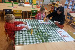 PXL_20241003_060138181
