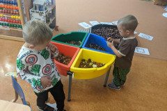 PXL_20241003_061907509