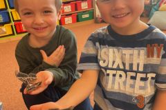 0d0b9244-519a-4480-9a42-f3f556157190