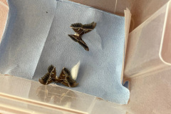 906dbcf9-62b7-4ba0-9141-b6a3dd334317