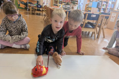 PXL_20251003_054344810