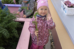 PXL_20251008_082043658