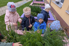 PXL_20251008_082052330