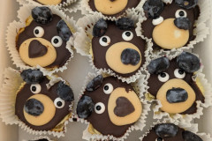 PXL_20251013_073004524