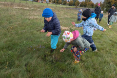 PXL_20251013_081222628