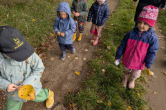 PXL_20251013_082026334