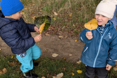 PXL_20251013_082031627