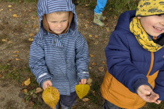 PXL_20251013_082228711