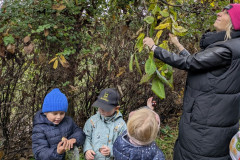 PXL_20251013_082444680