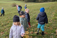 PXL_20251013_082827271