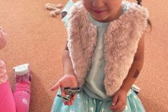 b772d825-508e-4a5c-9958-0cbb200674aa