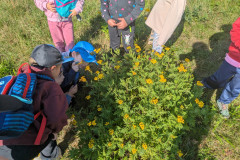PXL_20261001_081722031