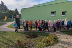 PXL_20261021_080828212