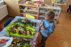 PXL_20221005_055659323