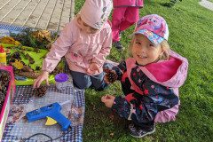 PXL_20221005_075159801
