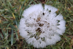 20261005_095016