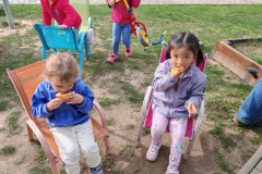 IMG-20261012-WA0008