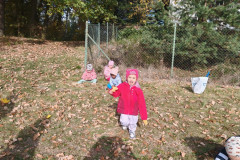 IMG-20261021-WA0016