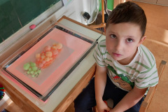 ebe64e38-52ef-419e-9783-012c2b3e9217