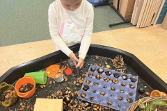 IMG_7511_001