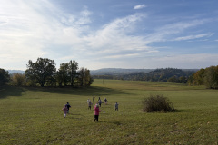 IMG_8743