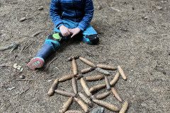 IMG-2459