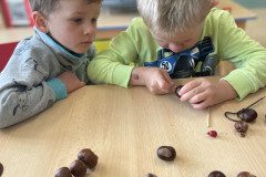 IMG-2467