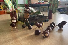 IMG-2468