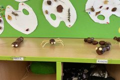 IMG-2491