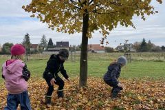 IMG-2493