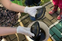 IMG-2552