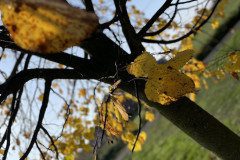 IMG-2583