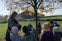 IMG-2585