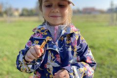 IMG-2592