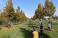 IMG-2593