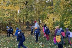 IMG-2608