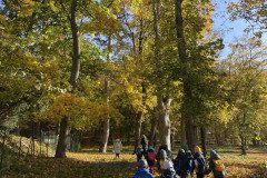 IMG-2620