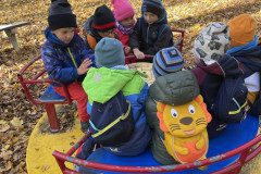 IMG-2636