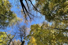IMG-2638