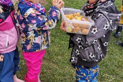 IMG_20221004_112206