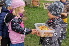 IMG_20221004_112215