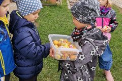 IMG_20221004_112224